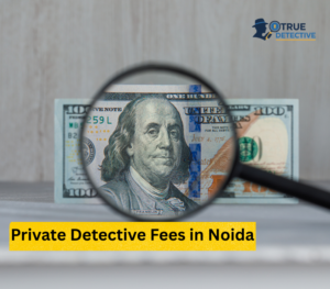 Private Detective Fees in Noida